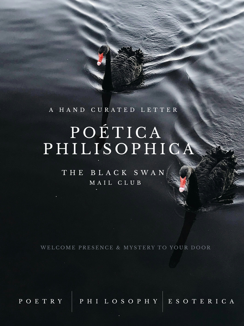 Poética Philisophica The Black Swan Mail Club