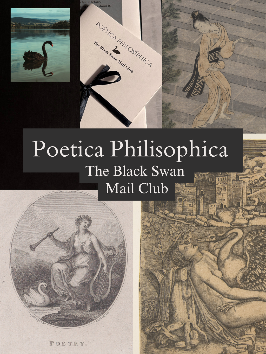 Poética Philisophica The Black Swan Mail Club